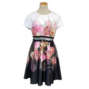 TED BAKER Dress Skater Valerey Painted Posie Black Pink Green, Ted size 4, US 10